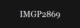 IMGP2869