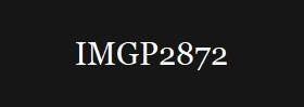 IMGP2872