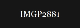 IMGP2881