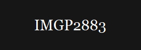 IMGP2883