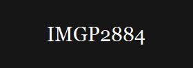 IMGP2884