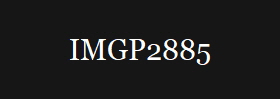 IMGP2885